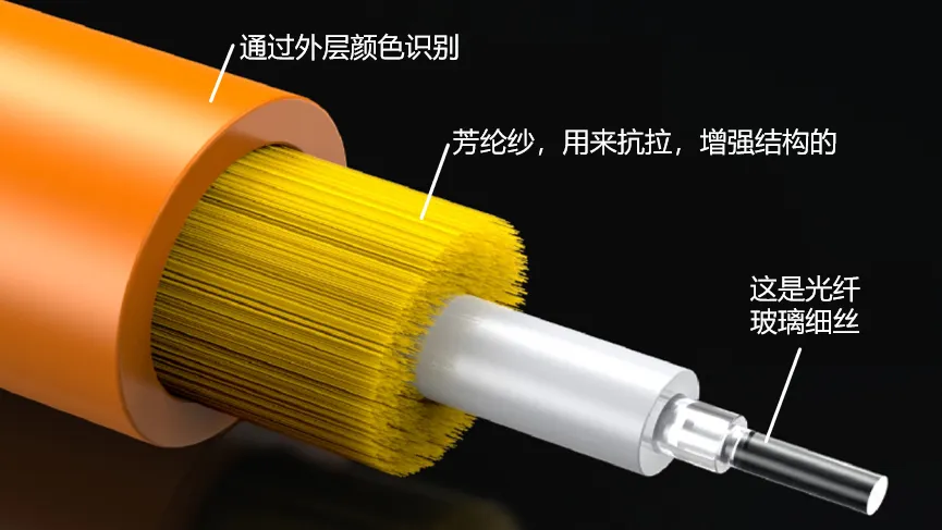 光纤解剖示意图