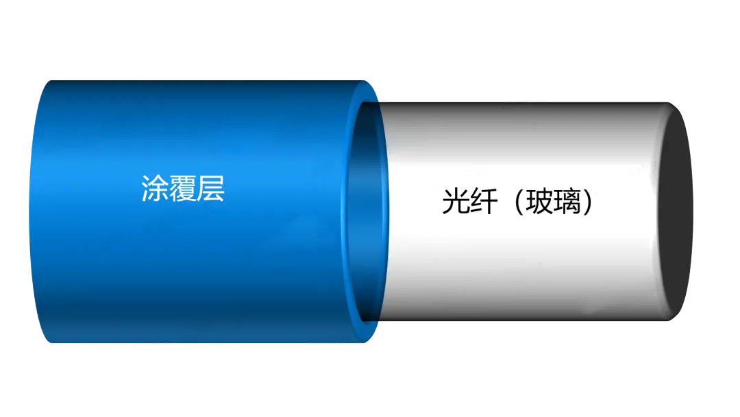 包层.png