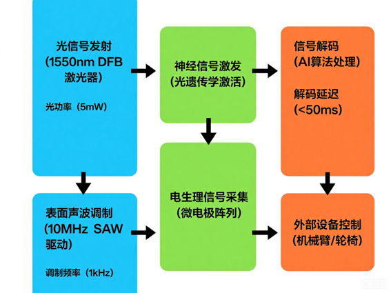 脑机接口光开关神经调控系统工作流程图 脑机接口光开关神经调控系统工作流程图