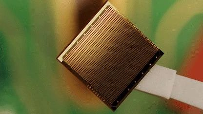 硅光子集成技术显微镜图像