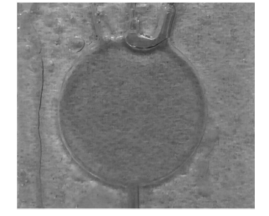 微流控光开关在实际应用中的效果，包括不同流速下的遮光形态及透光/遮光对比  - 广西科毅光通信