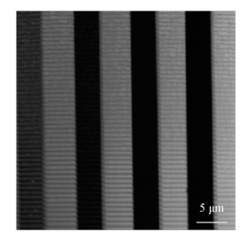 不同离子剂量刻蚀后侧壁的AFM形貌图 - 广西科毅光通信