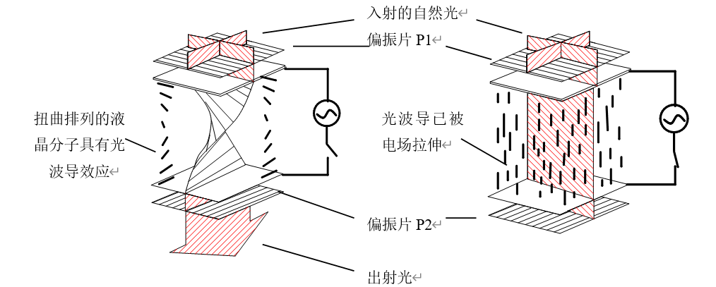 ALT标签：液晶光开关工作原理图-广西科毅光通信